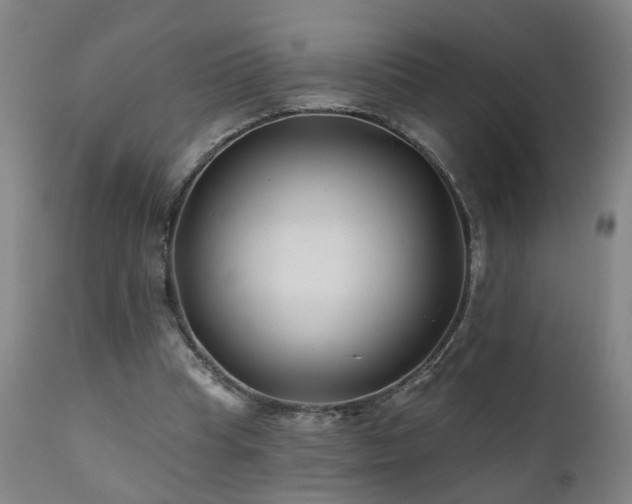 X0000112060345200908041219