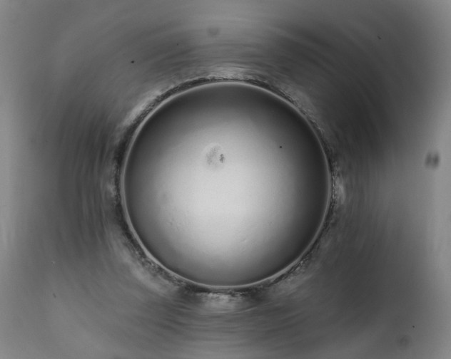 X0000112060347200908041220
