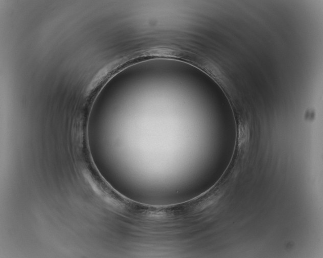 X0000112060349200908041220
