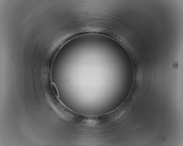X0000112060352200908041220