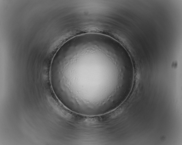 X0000112060353200908041220