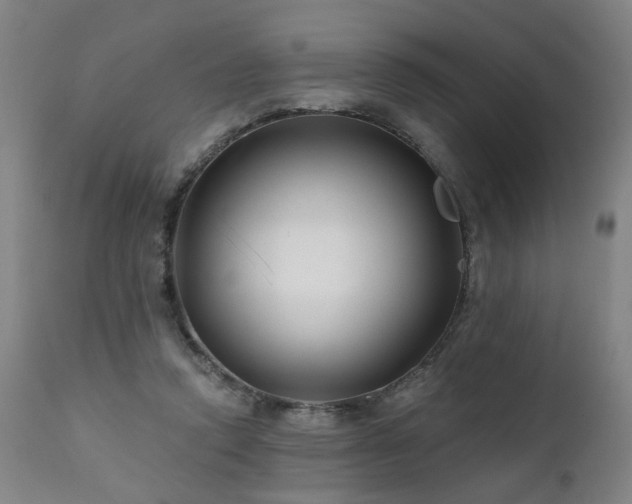 X0000112060354200908041220