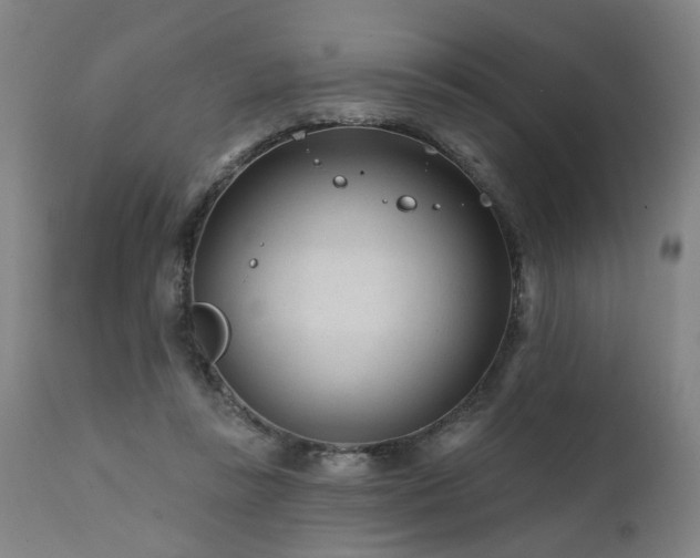 X0000112060355200908041220