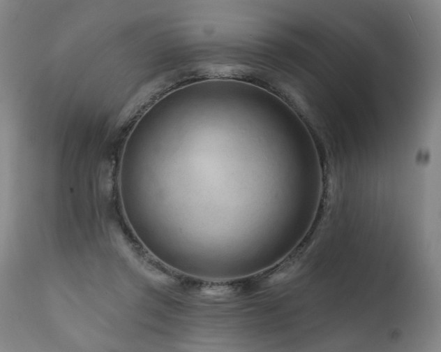 X0000112060357200908041220