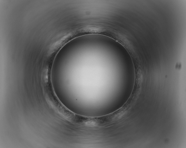 X0000112060358200908041220