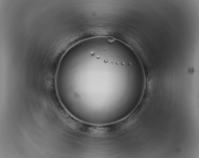 X0000112060359200908041220