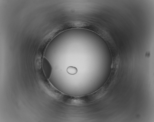 X0000112060360200908041220