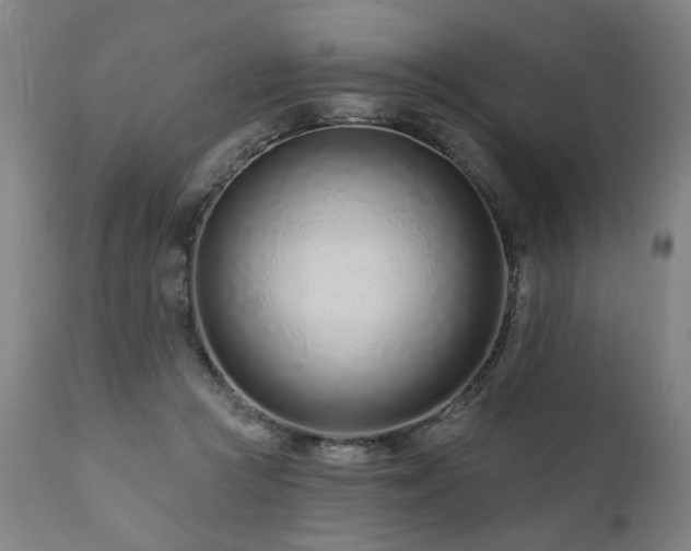 X0000112060361200908041220