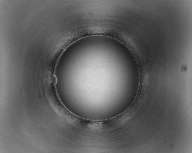 X0000112060362200908041220