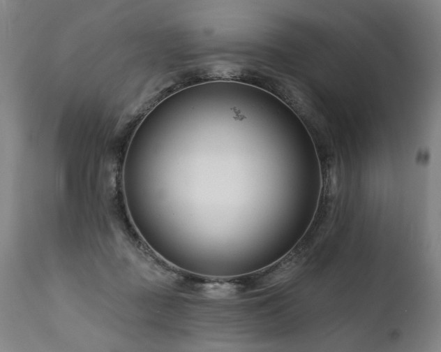 X0000112060363200908041220