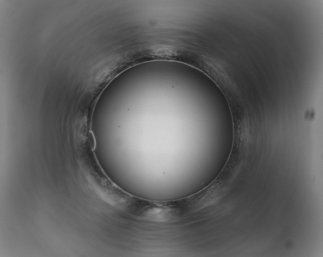 X0000112060364200908041220