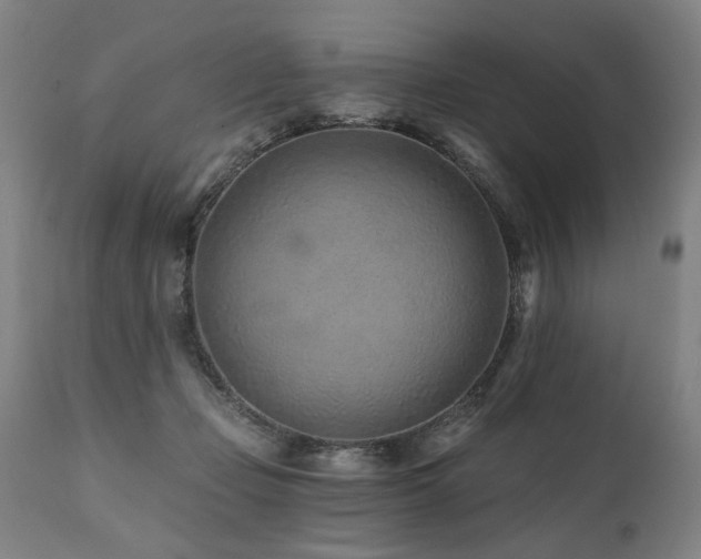 X0000112060365200908041220