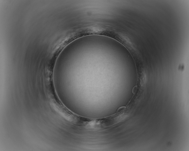 X0000112060366200908041220