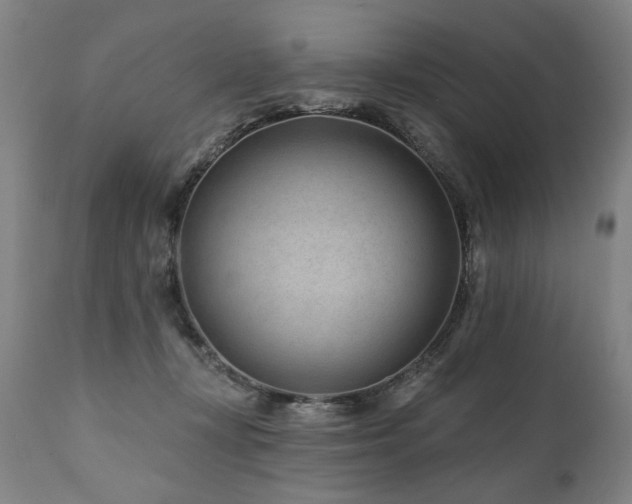 X0000112060367200908041220