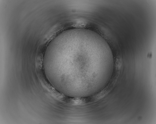X0000112060370200908041220