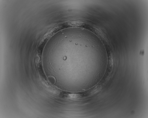X0000112060371200908041220
