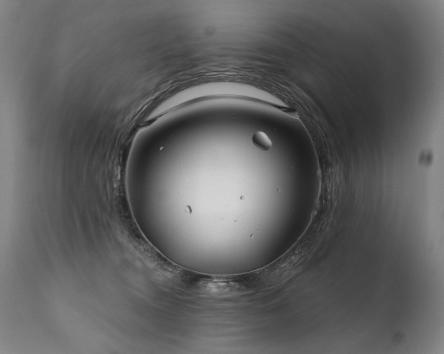 X0000112060372200908041220