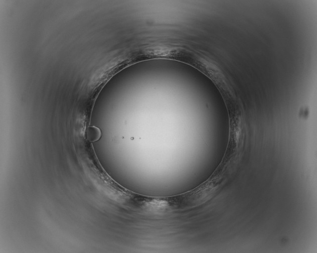 X0000112060374200908041220