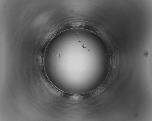 X0000112060375200908041220