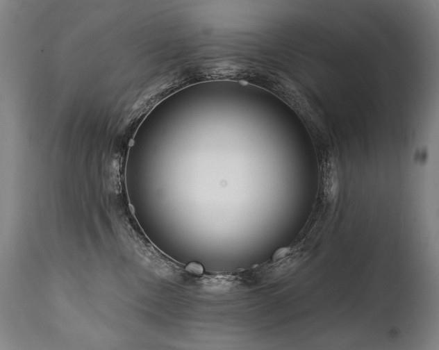 X0000112060378200908041220