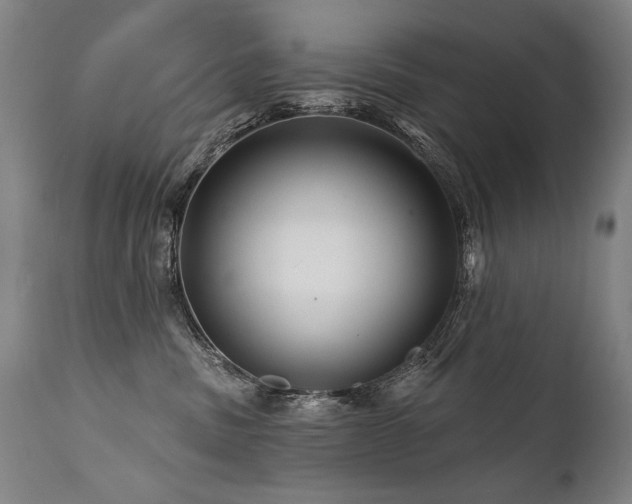 X0000112060379200908041220