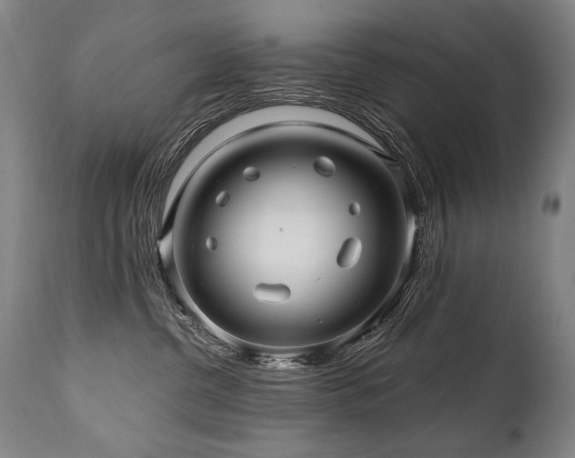 X0000112060380200908041220