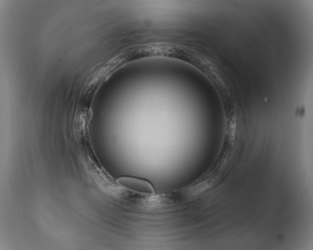 X0000112060382200908041220