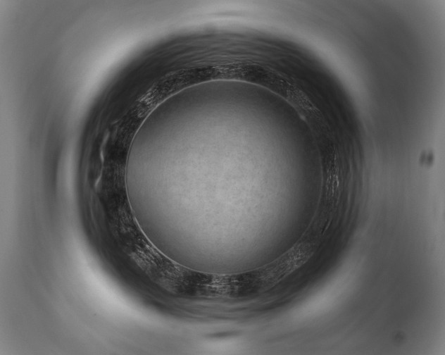 X0000112060383200908041220