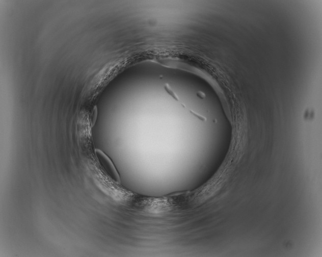 X0000112060384200908041220