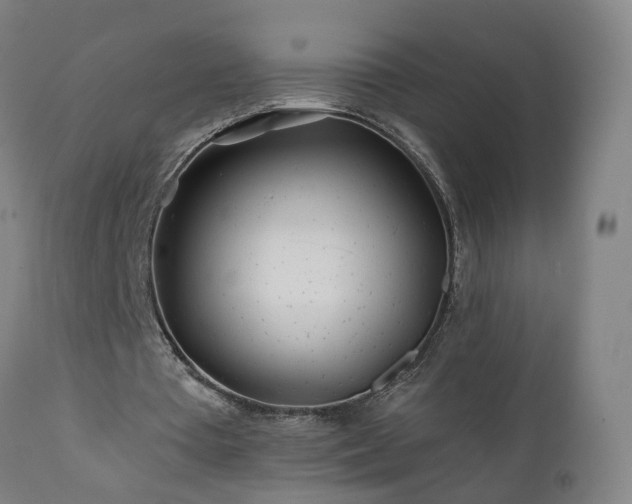 X0000112060385200908041219