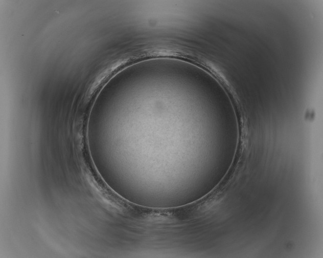 X0000112060386200908041219