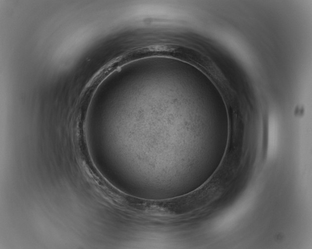 X0000112060387200908041219