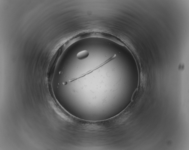 X0000112060389200908041219