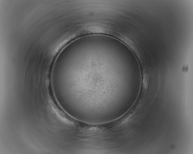 X0000112060390200908041219
