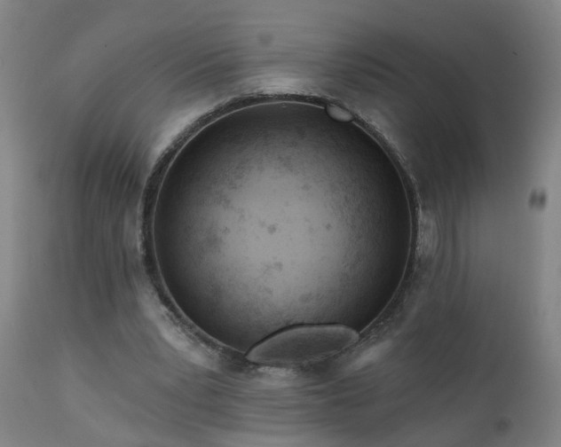 X0000112060391200908041219