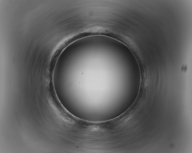X0000112060392200908041219