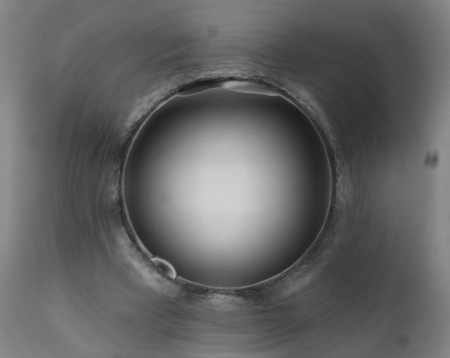 X0000112060393200908041219