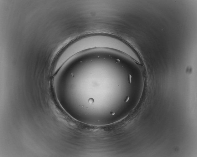 X0000112060395200908041219