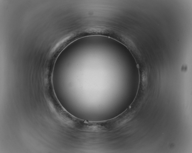 X0000112060396200908041219