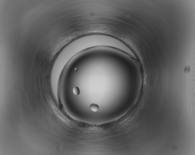 X0000112060397200908041219