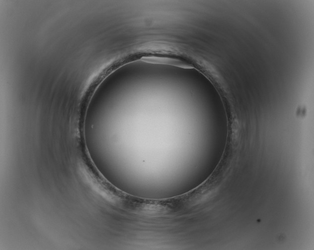 X0000112060399200908041219