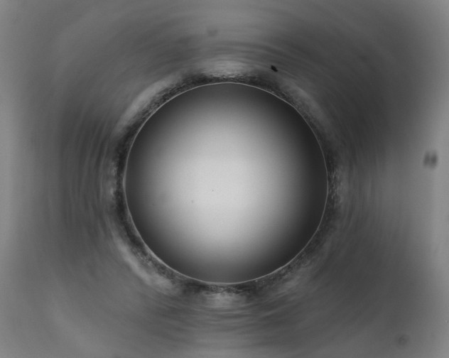 X0000112060400200908041219