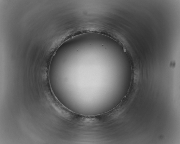 X0000112060401200908041219