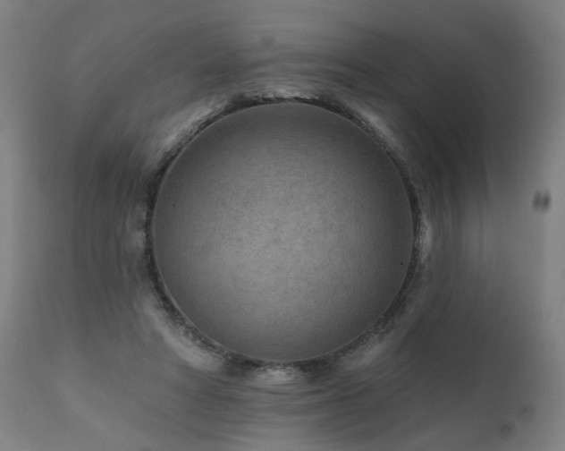 X0000112060402200908041219