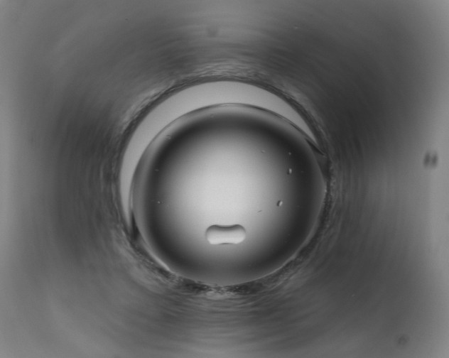 X0000112060403200908041219