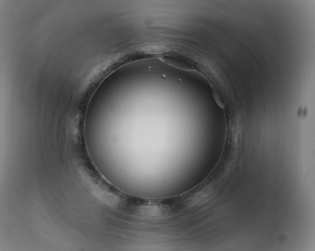 X0000112060404200908041219