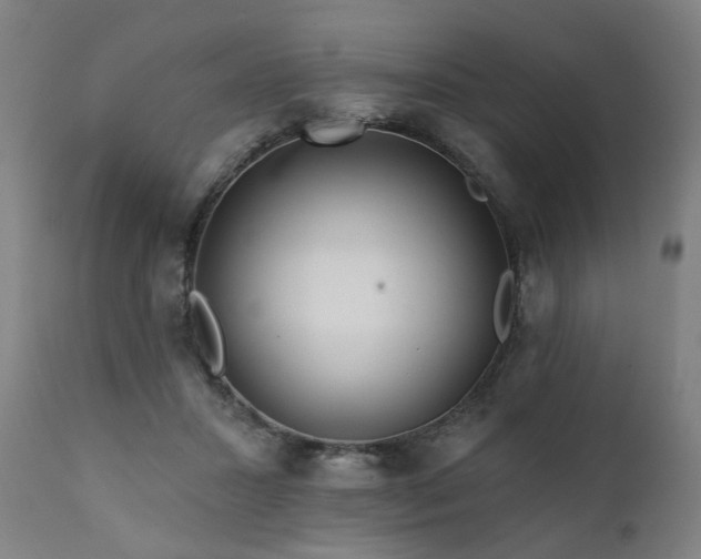 X0000112060407200908041219