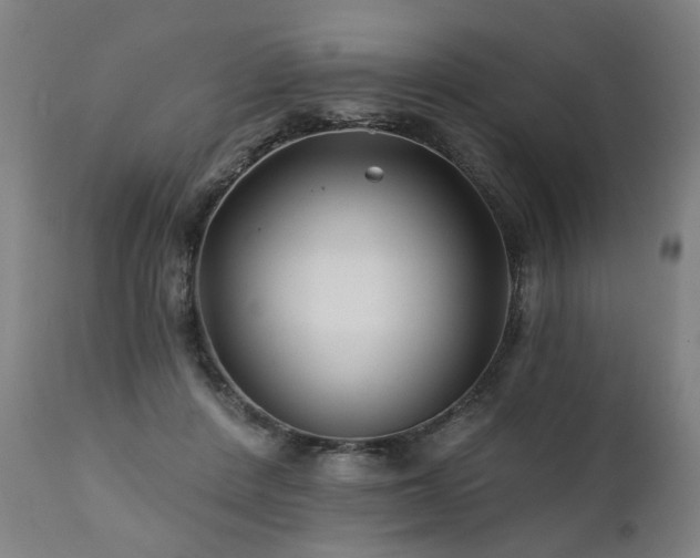 X0000112060408200908041219