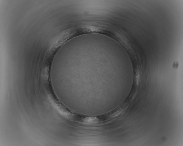 X0000112060410200908041219