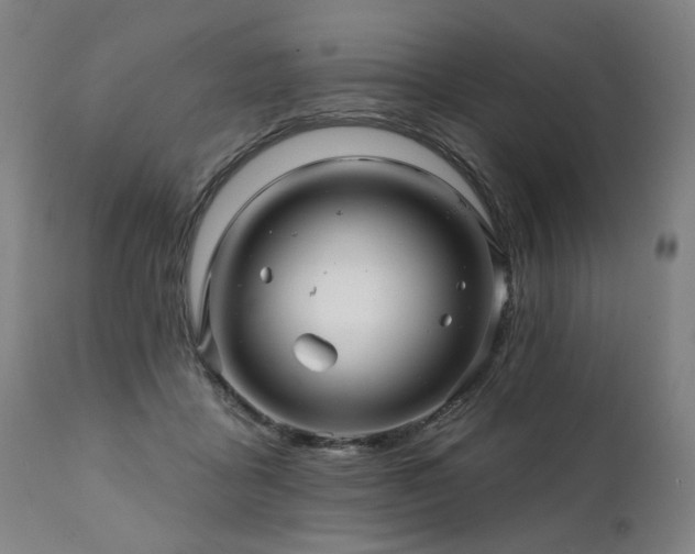X0000112060411200908041219